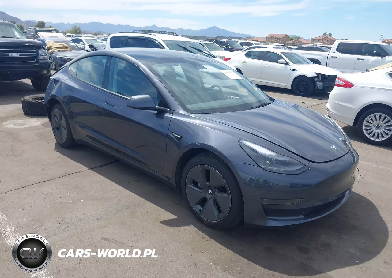2023 Tesla Model 3 Rear-Wheel Drive