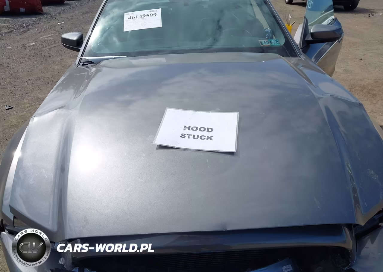 2013 Ford Mustang V6 Premium VIN:1ZVBP8EM6D5213958 - 10