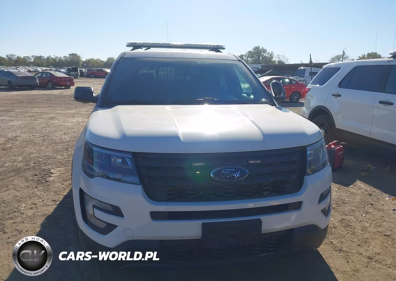 2018 Ford Police Interceptor Utility VIN:1FM5K8AR7JGC56555 - 12