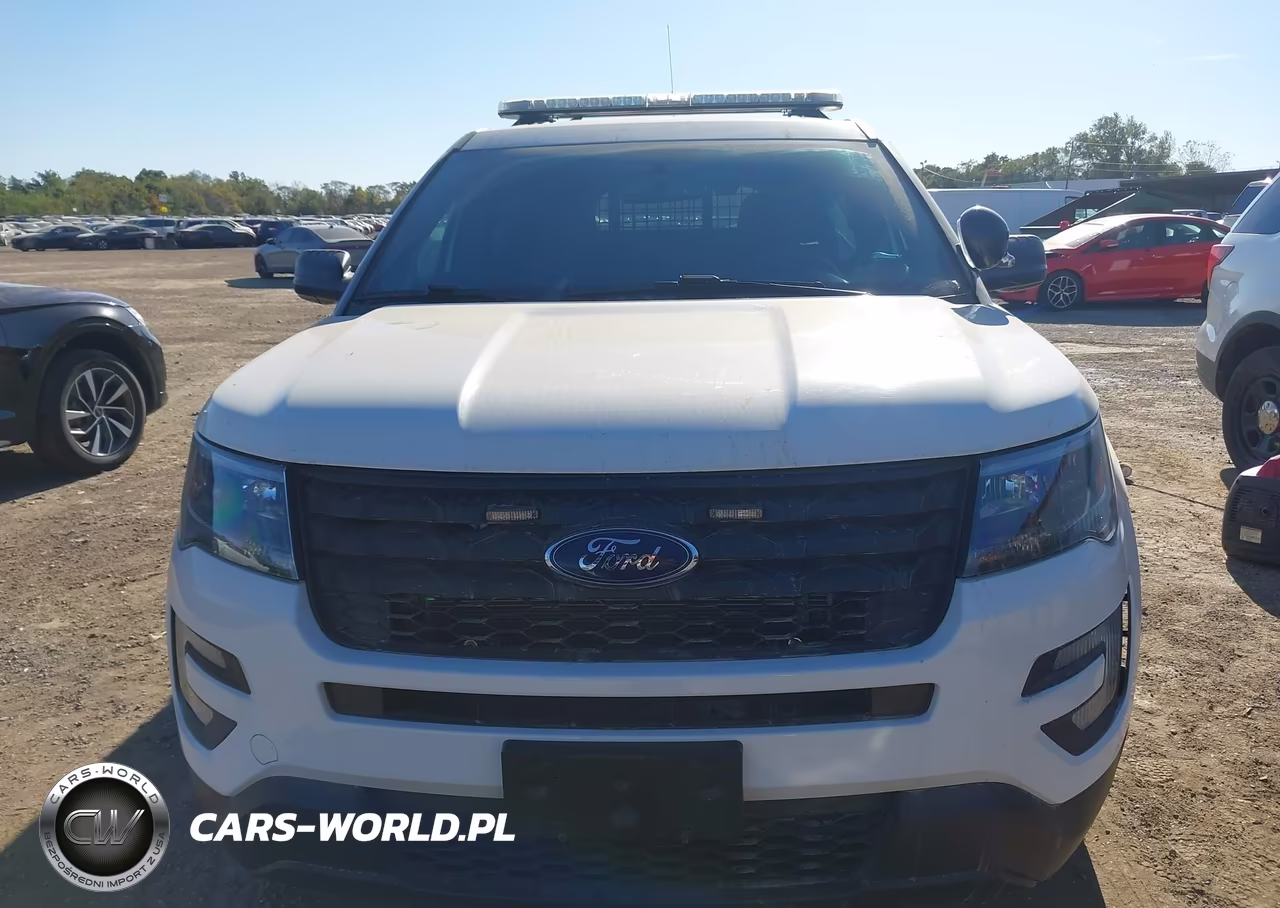 2018 Ford Police Interceptor Utility VIN:1FM5K8AR7JGC56555 - 6