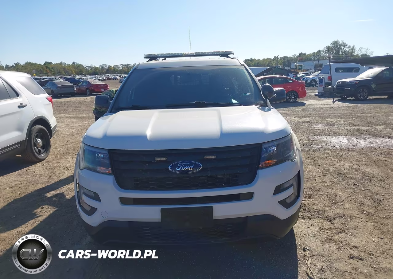 2018 Ford Police Interceptor Utility VIN:1FM5K8AR9JGC56556 - 12
