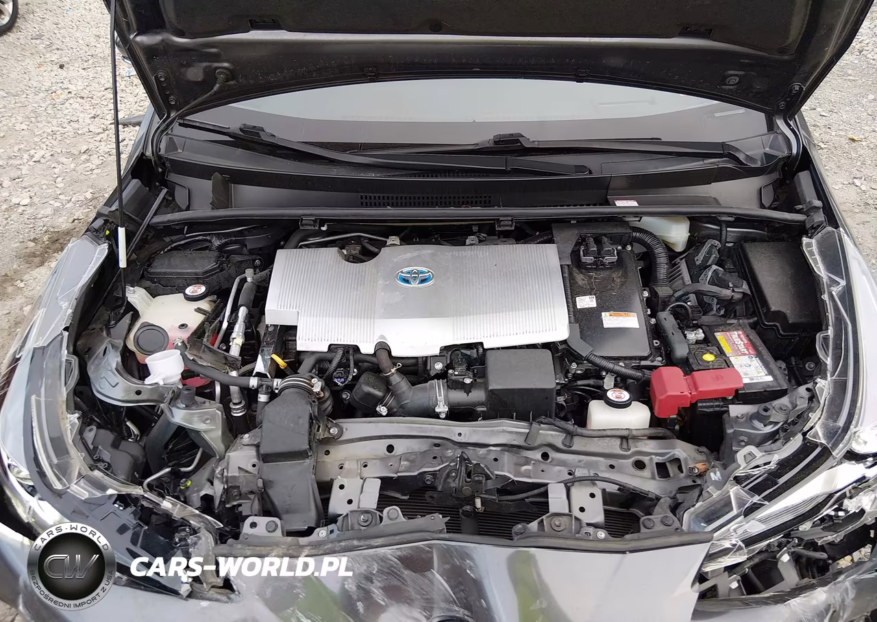 2019 Toyota Prius Limited VIN:JTDKARFU0K3088568 - 10