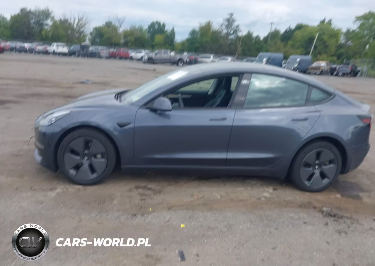 2022 Tesla Model 3 Long Range Dual Motor All-Wheel Drive VIN:5YJ3E1EB2NF194392 - 12