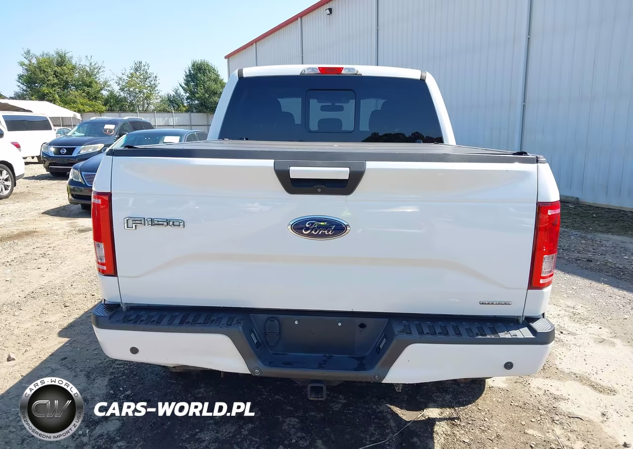 2015 Ford F-150 Xlt VIN:1FTEW1EF6FFC80603 - 16