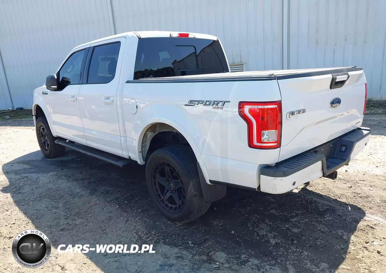 2015 Ford F-150 Xlt VIN:1FTEW1EF6FFC80603 - 3