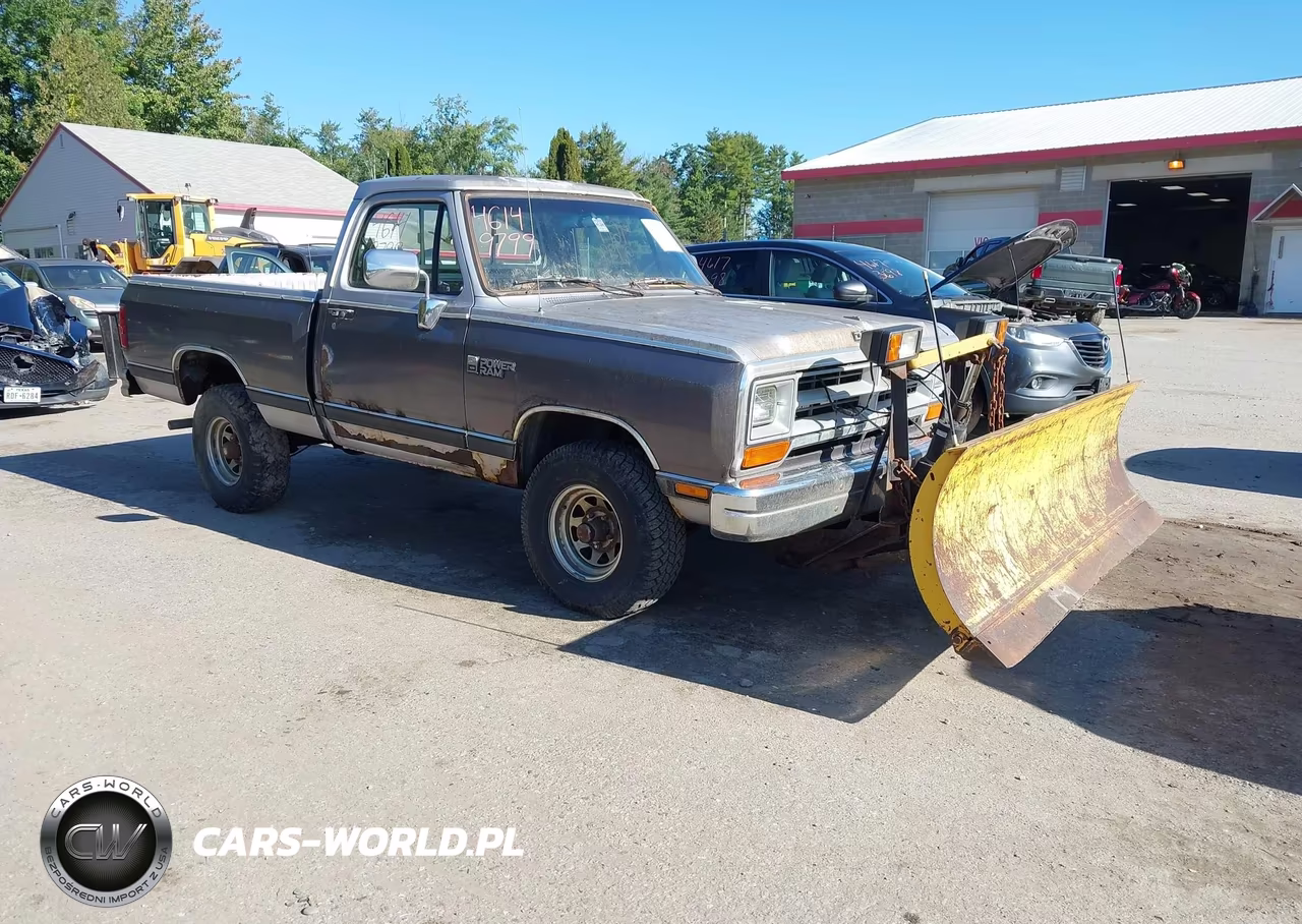 1989 Dodge W-Series W100 – zdjęcie 1 z 15