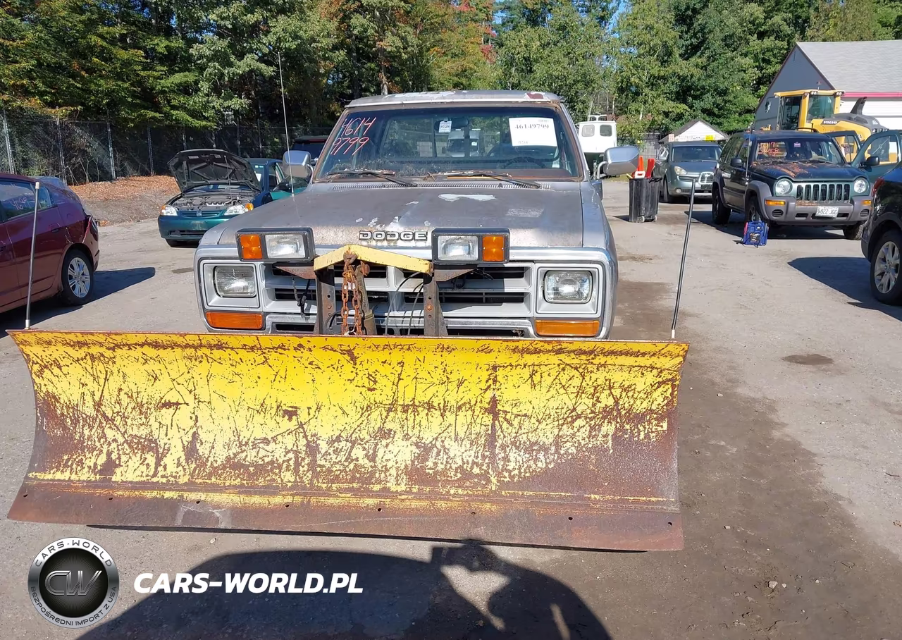 1989 Dodge W-Series W100 VIN:1B7HM06Y7KS031001 - 13