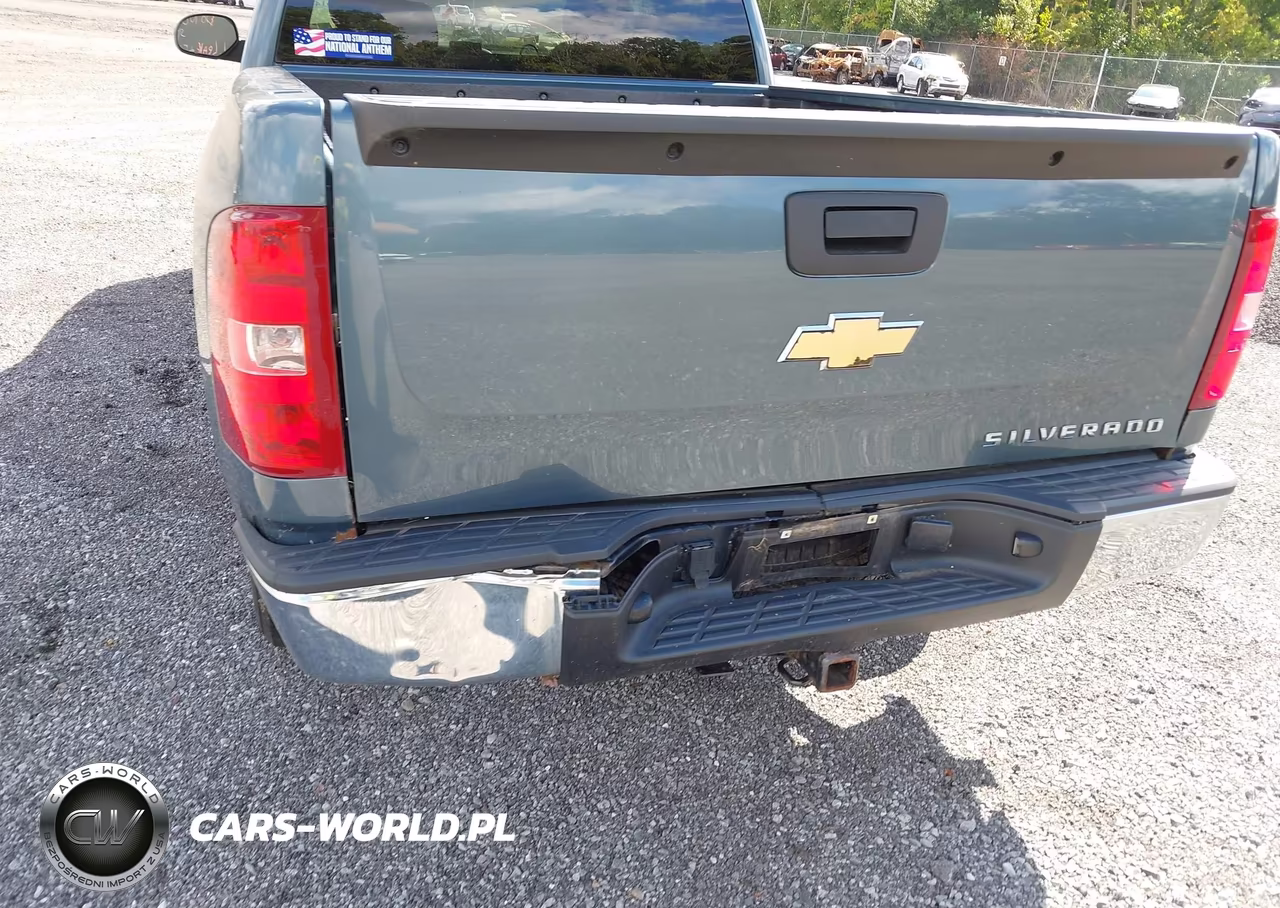 2011 Chevrolet Silverado 1500 Work Truck VIN:1GCRCPEX3BZ123240 - 6