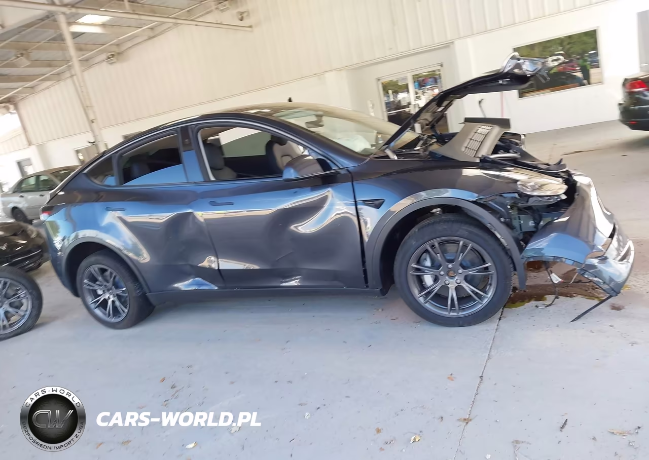 2025 Tesla Model Y Long Range Dual Motor All-Wheel Drive VIN:7SAYGDEE6SA355625 - 12