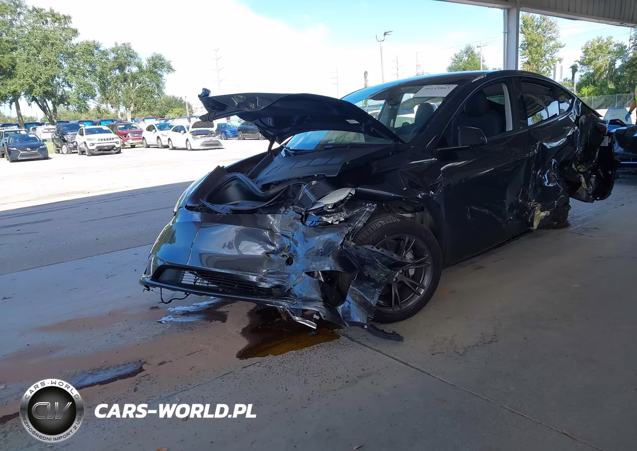 2025 Tesla Model Y Long Range Dual Motor All-Wheel Drive VIN:7SAYGDEE6SA355625 - 2