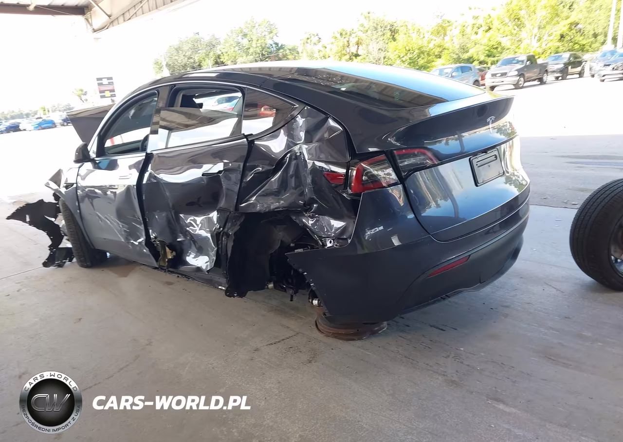 2025 Tesla Model Y Long Range Dual Motor All-Wheel Drive VIN:7SAYGDEE6SA355625 - 3
