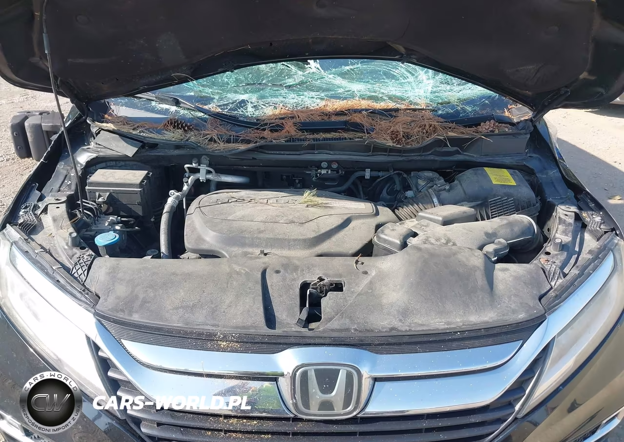 2018 Honda Odyssey Elite VIN:5FNRL6H94JB023112 - 10