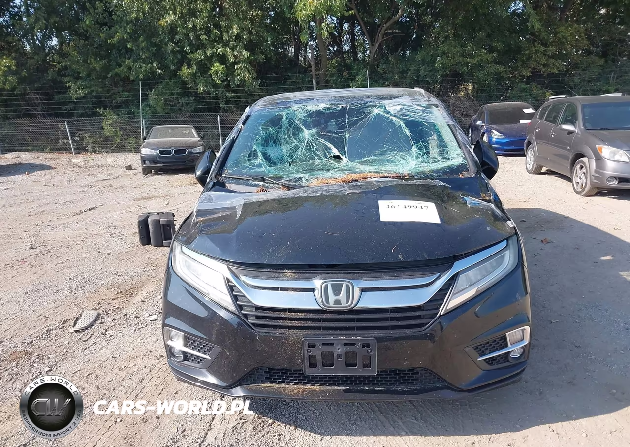 2018 Honda Odyssey Elite VIN:5FNRL6H94JB023112 - 12