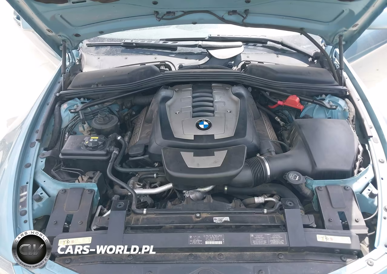 2007 BMW 650I VIN:WBAEK13517CN84038 - 10