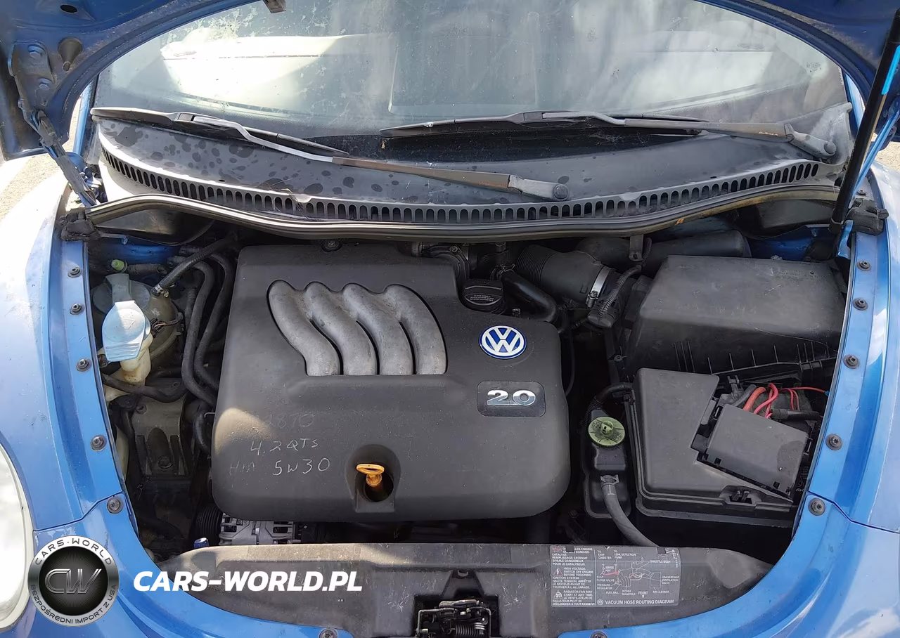 2001 Volkswagen New Beetle Gl VIN:3VWBS21C51M422218 - 10