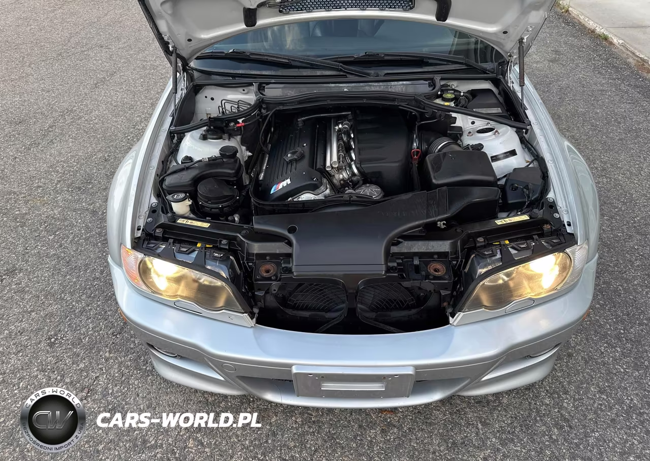 2002 BMW M3 VIN:WBSBR93412EX22190 - 10