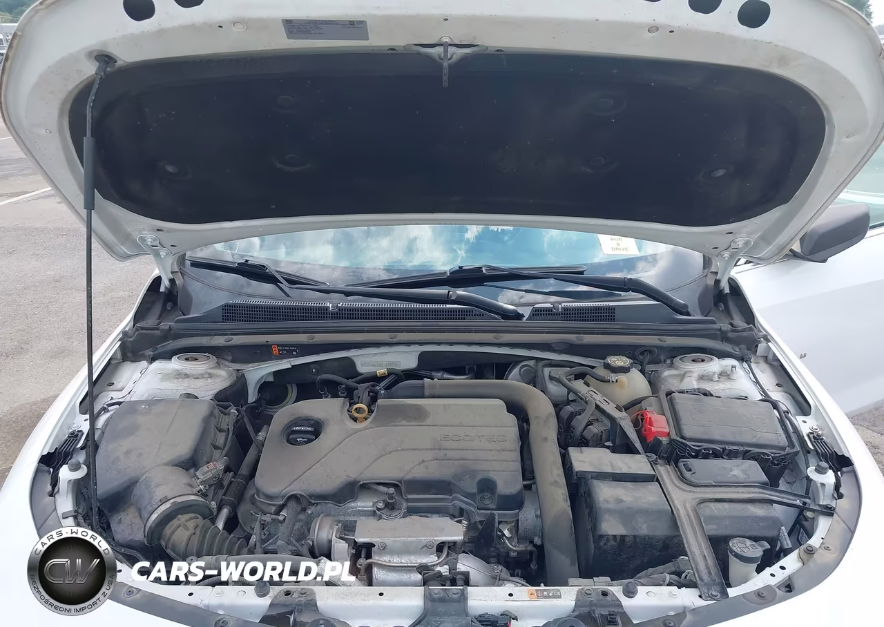 2019 Chevrolet Malibu Rs VIN:1G1ZG5ST4KF161824 - 10