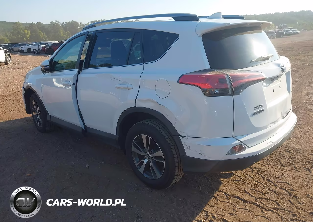 2018 Toyota Rav4 Xle VIN:2T3WFREV2JW513569 - 3