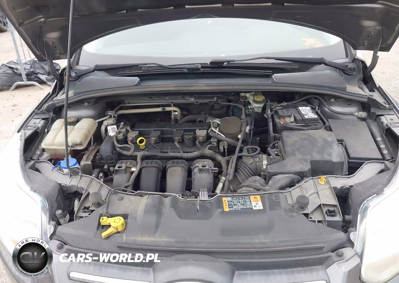 2014 Ford Focus Se VIN:1FADP3F20EL460164 - 10
