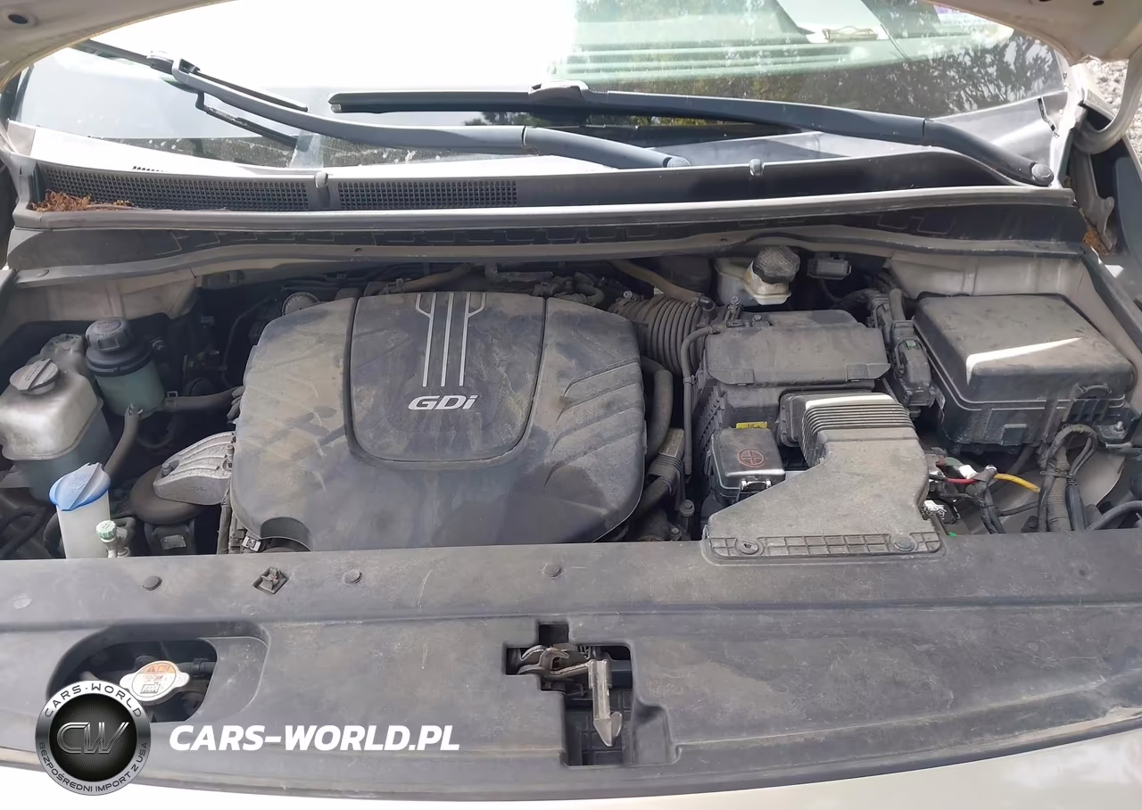 2017 Kia Sedona Lx VIN:KNDMB5C16H6307212 - 10