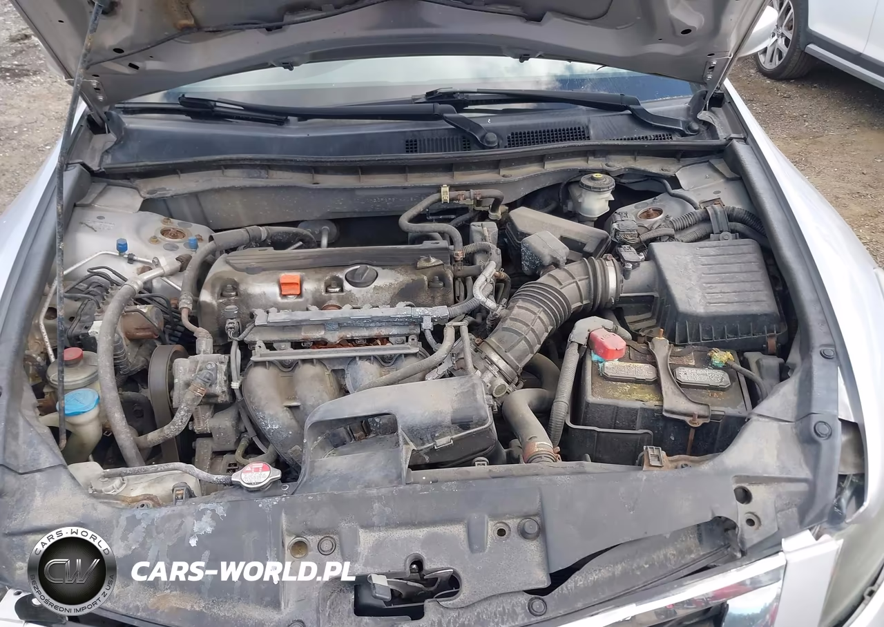 2010 Honda Accord 2.4 Lx VIN:1HGCP2F31AA184187 - 10