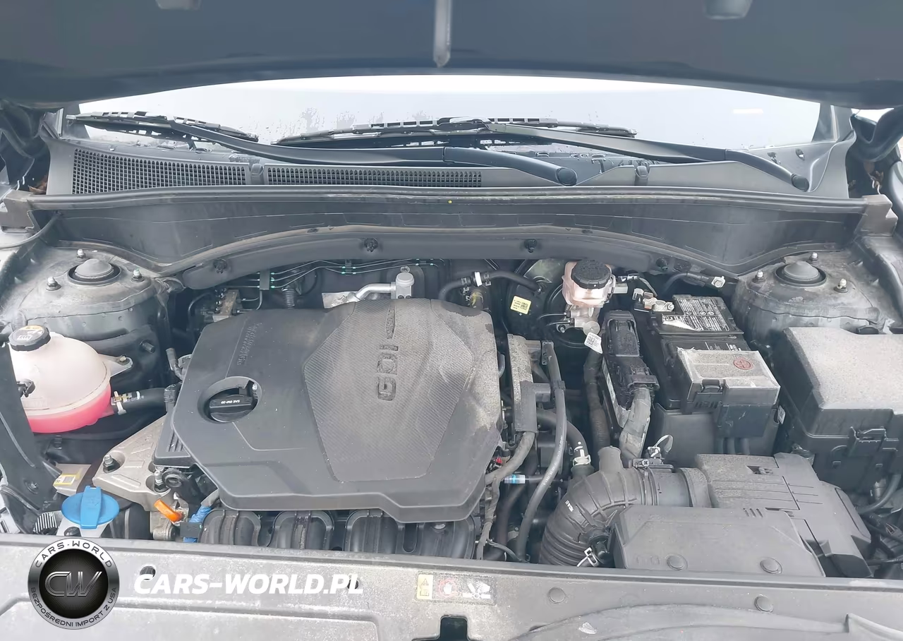 2023 Hyundai Santa Fe Se VIN:5NMS14AJXPH625777 - 10