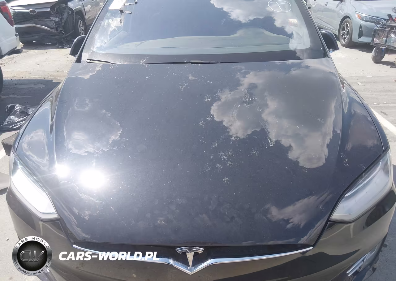 2017 Tesla Model X 100D-75D-90D VIN:5YJXCDE29HF053803 - 10