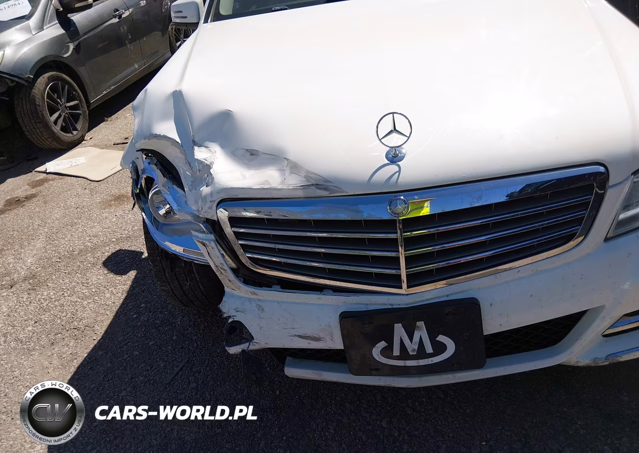 2013 Mercedes-Benz C 300 Luxury 4Matic VIN:WDDGF8AB1DA858031 - 6