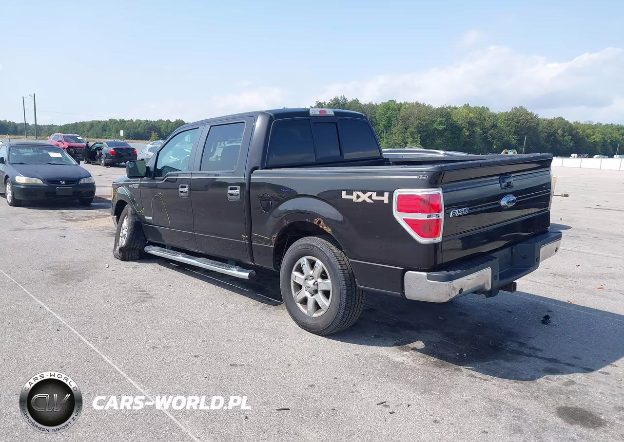 2013 Ford F-150 Xlt VIN:1FTFW1ET3DKE01652 - 3