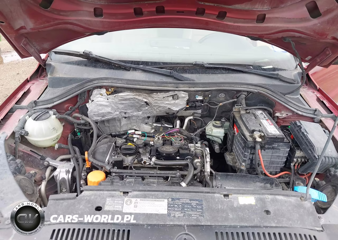 2011 Volkswagen Tiguan Sel VIN:WVGAV7AX1BW001230 - 10