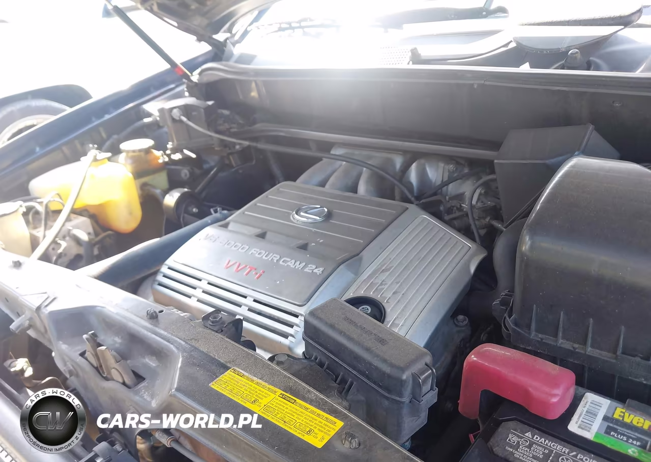 2002 Lexus Rx 300 VIN:JTJGF10U220125698 - 10