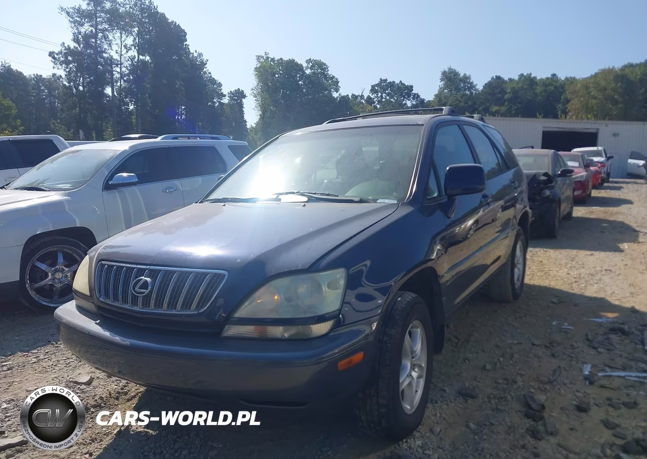 2002 Lexus Rx 300 VIN:JTJGF10U220125698 - 2
