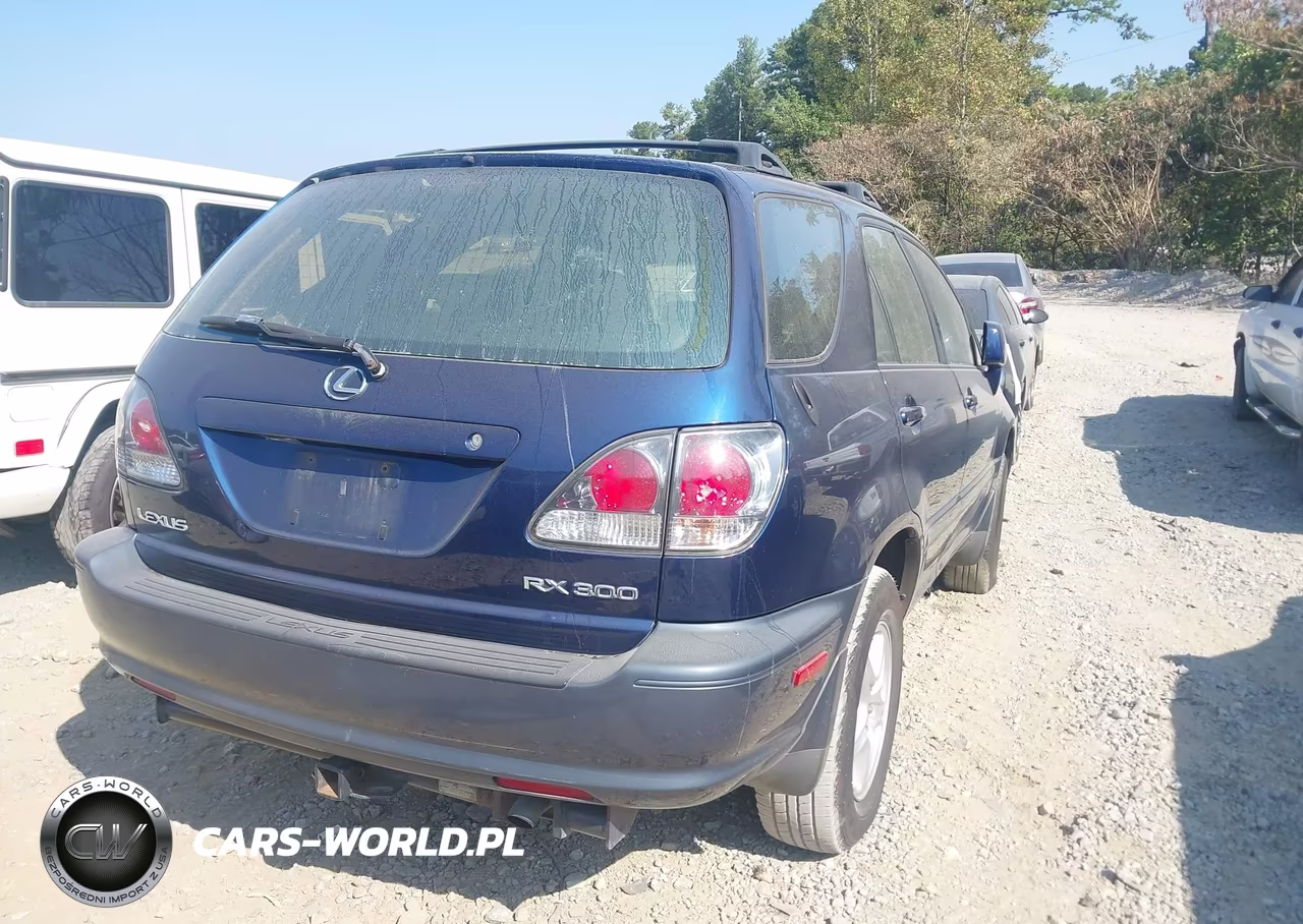 2002 Lexus Rx 300 VIN:JTJGF10U220125698 - 4
