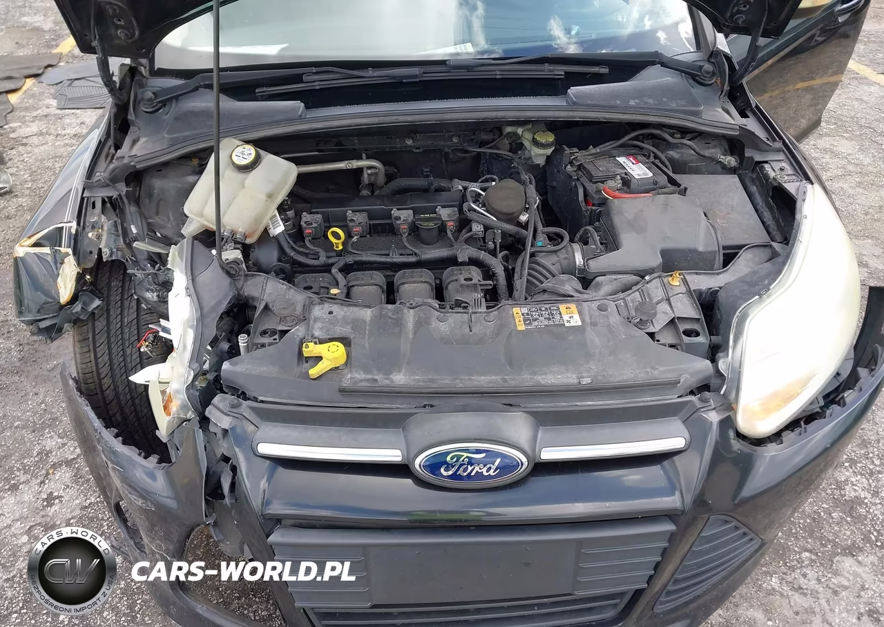 2014 Ford Focus Se VIN:1FADP3F25EL371139 - 10