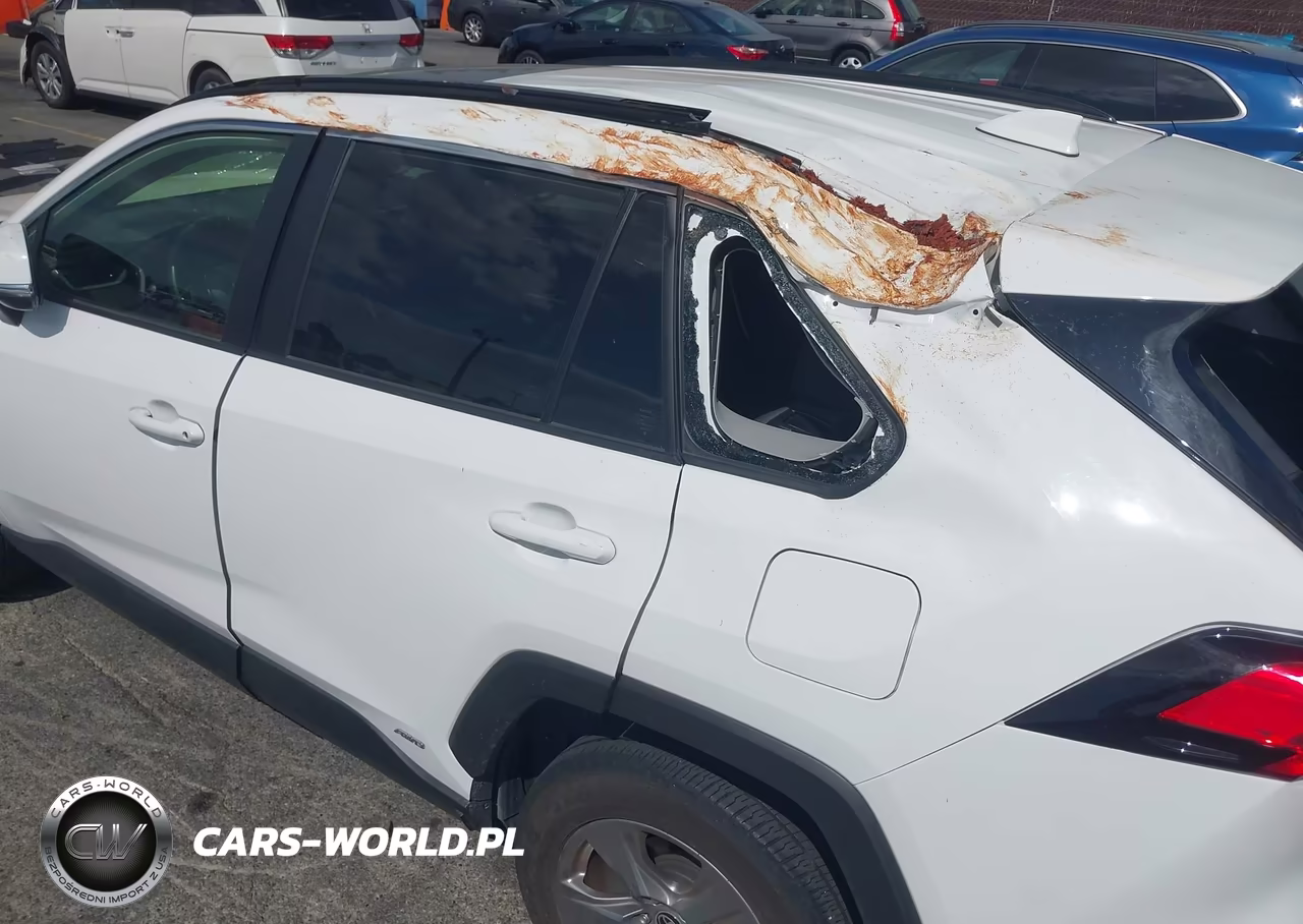 2024 Toyota Rav4 Hybrid Xle VIN:JTMRWRFV1RD215504 - 6