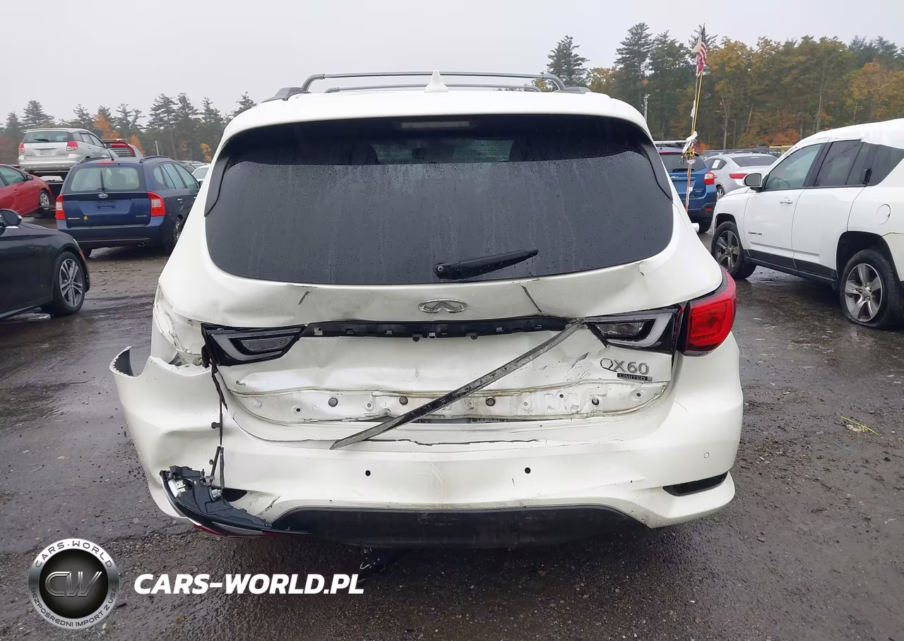 2019 Infiniti Qx60 Luxe VIN:5N1DL0MM8KC512107 - 16