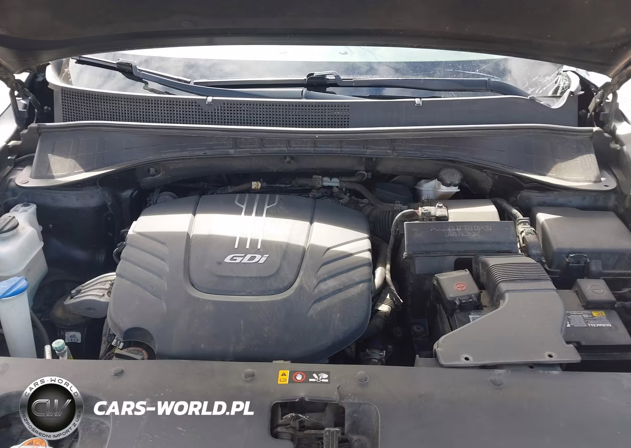 2017 Kia Sorento 3.3L Lx VIN:5XYPGDA5XHG241629 - 10