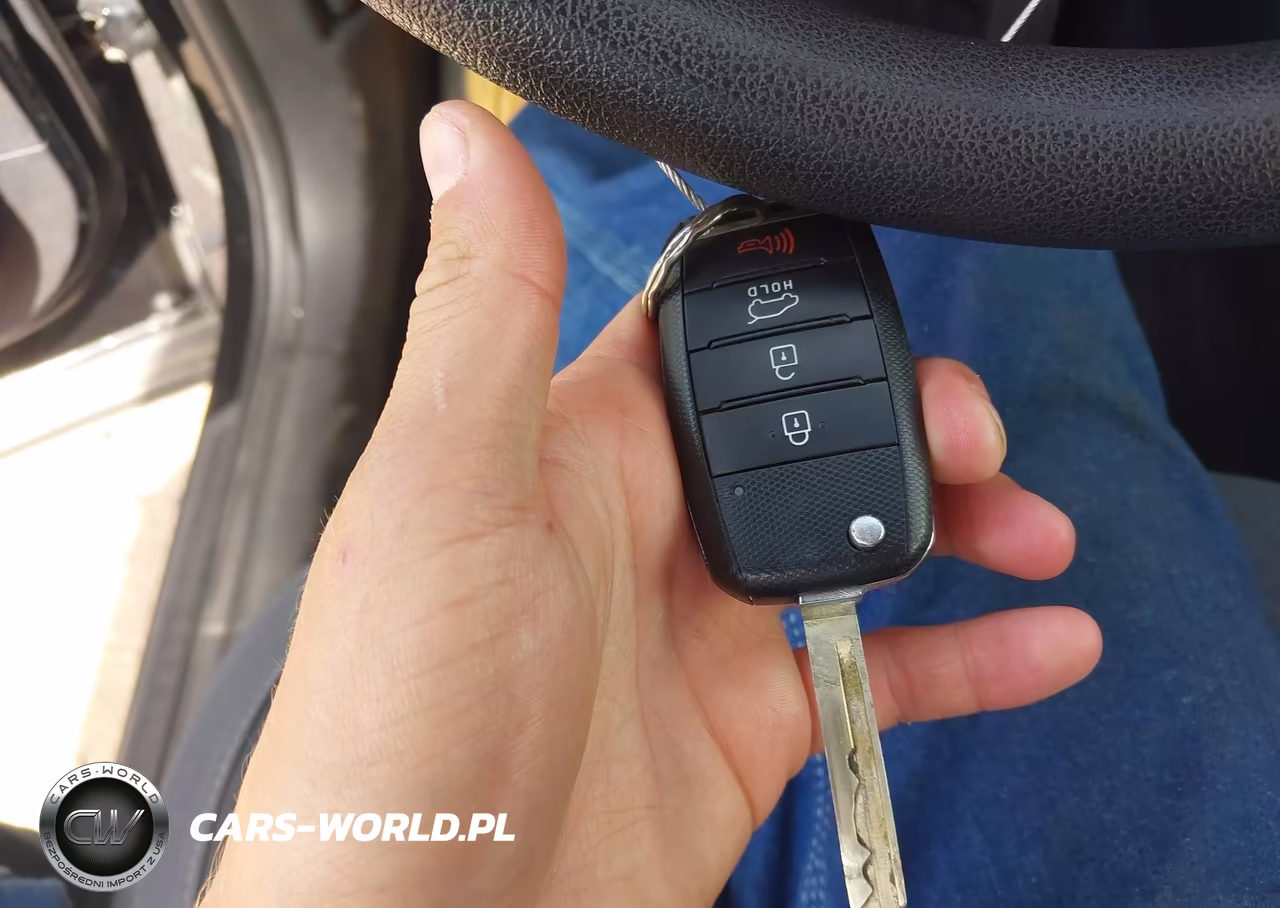 2017 Kia Sorento 3.3L Lx VIN:5XYPGDA5XHG241629 - 11