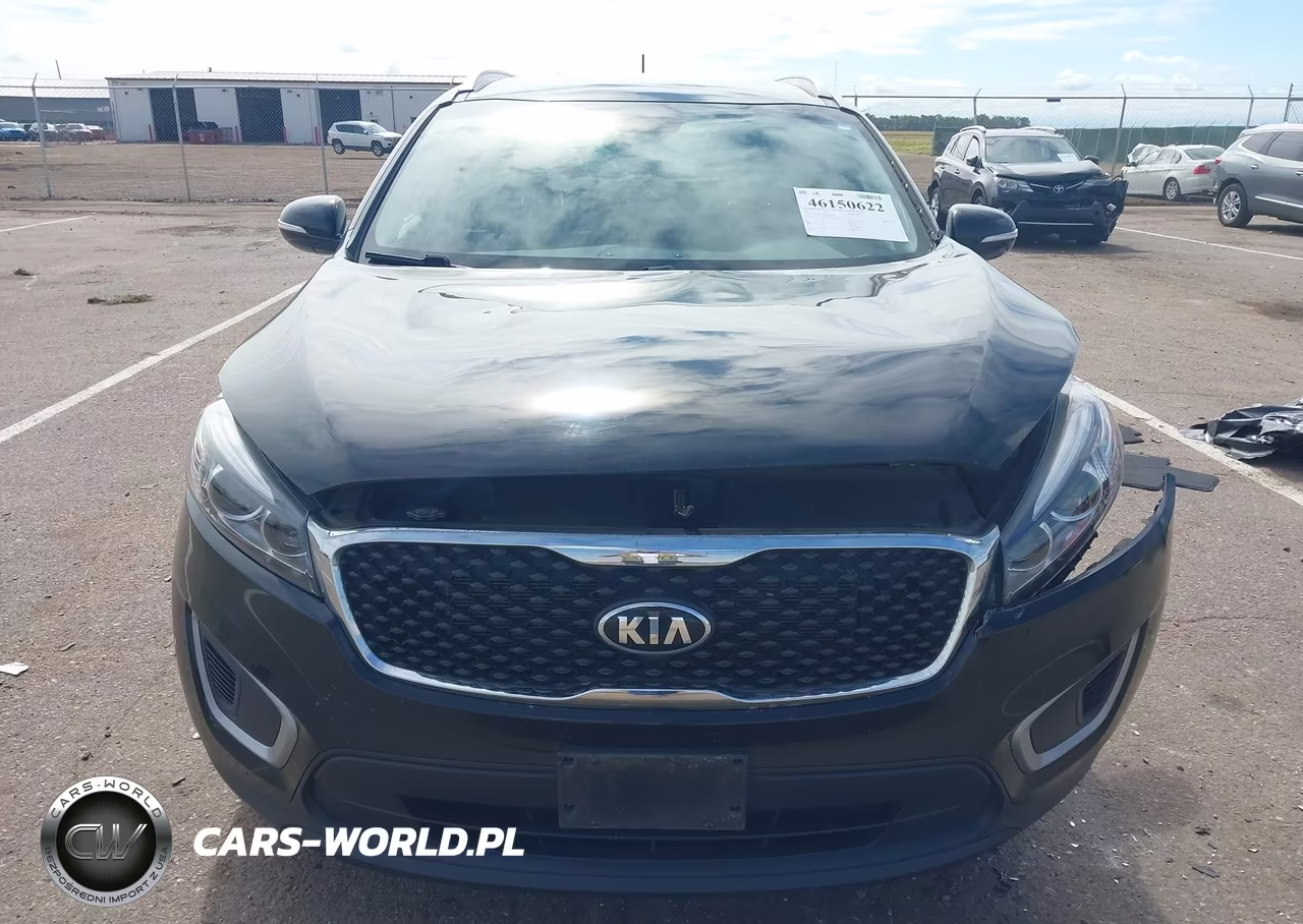 2017 Kia Sorento 3.3L Lx VIN:5XYPGDA5XHG241629 - 12