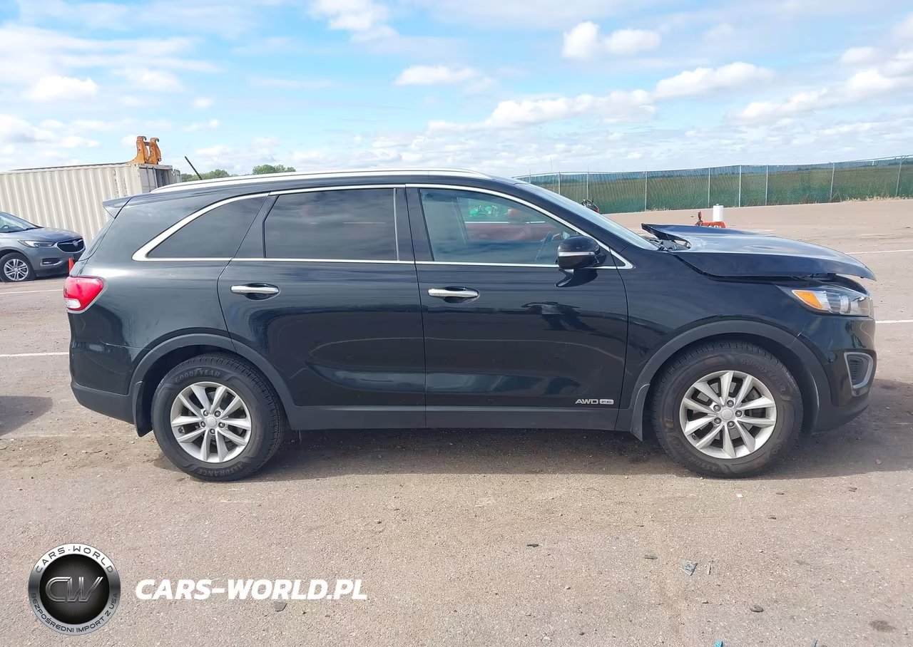 2017 Kia Sorento 3.3L Lx VIN:5XYPGDA5XHG241629 - 13