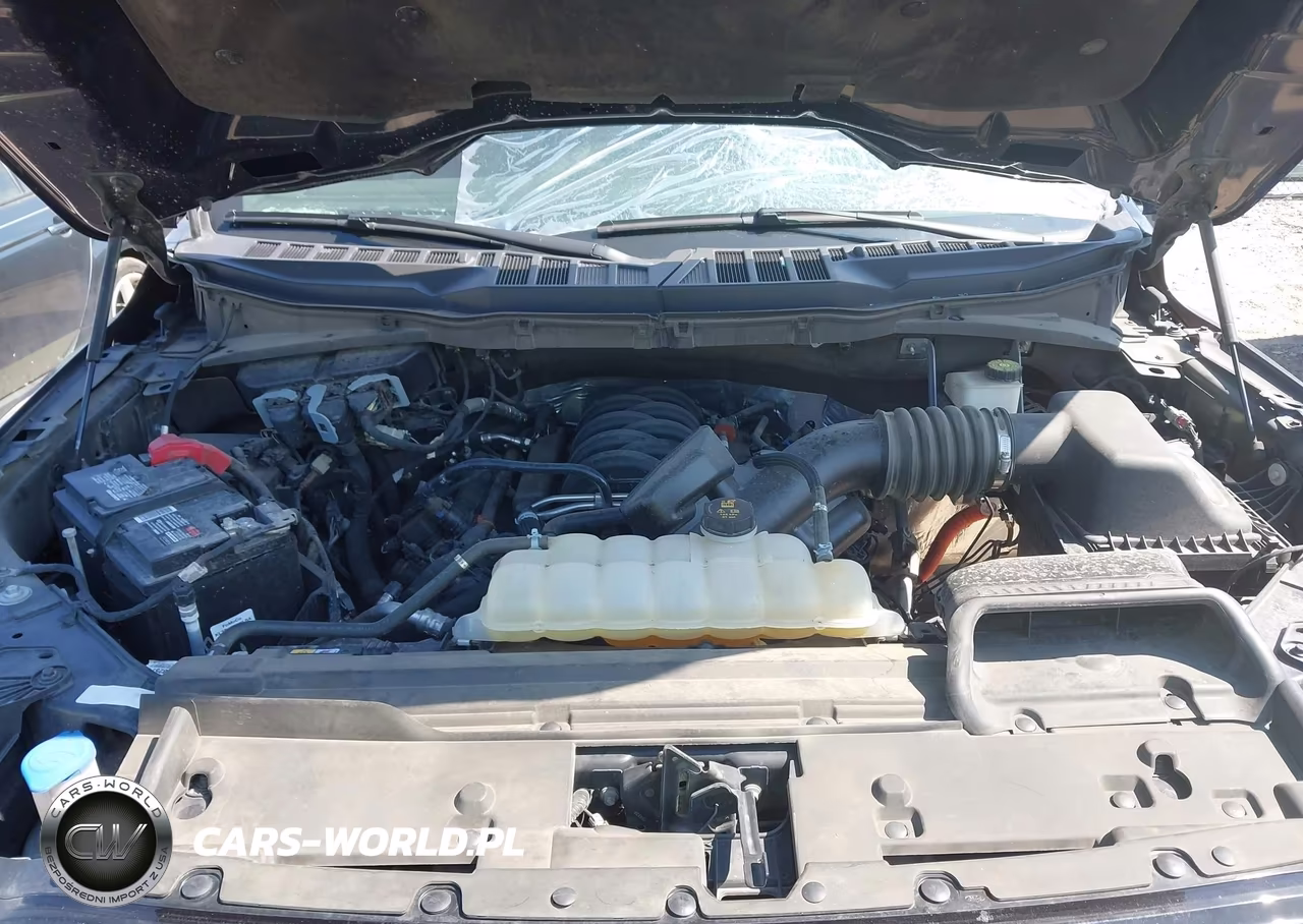 2024 Ford F-150 Xlt VIN:1FTEW3K50RKD85866 - 10
