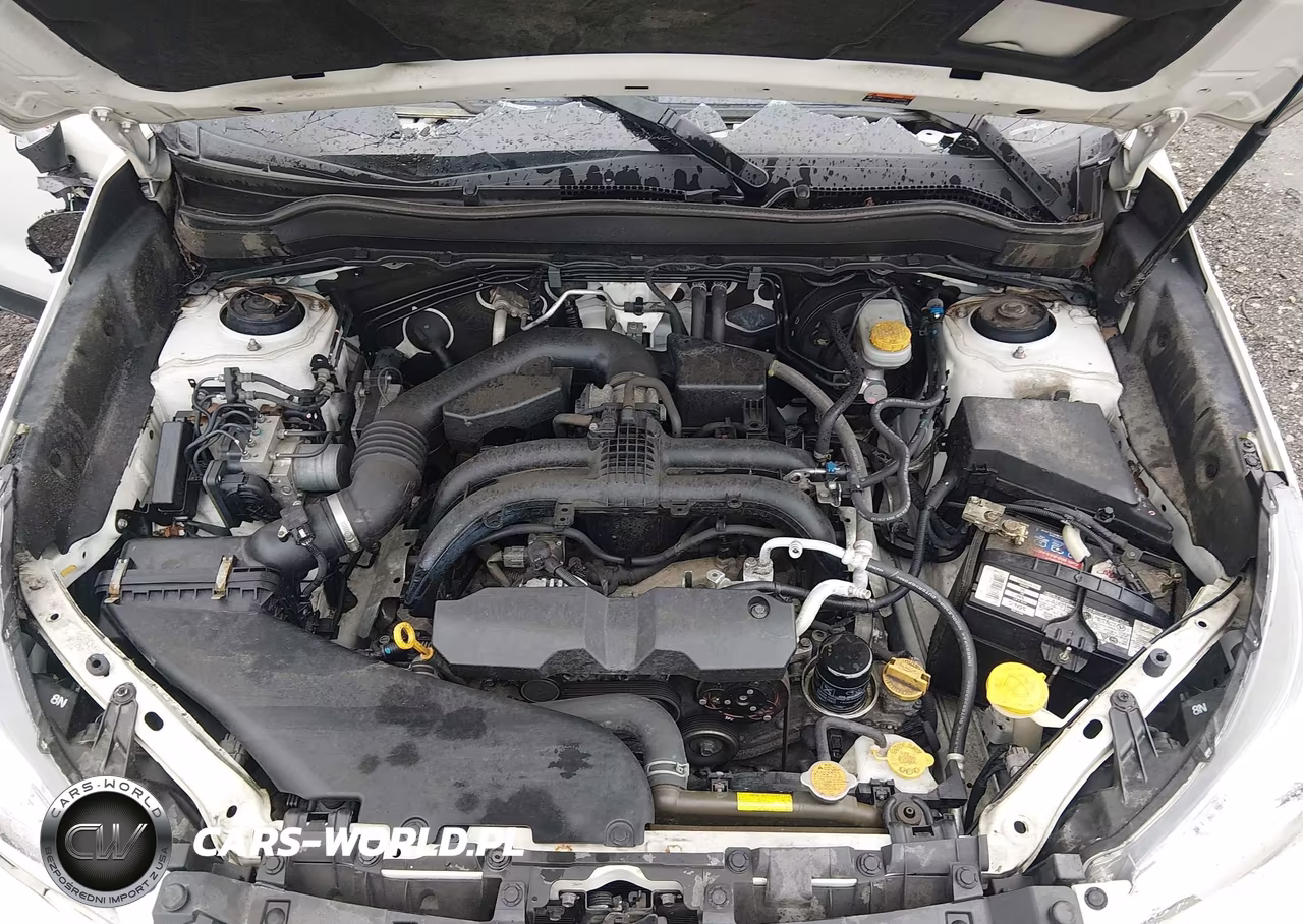 2018 Subaru Forester 2.5I Premium VIN:JF2SJAGC0JH494005 - 10