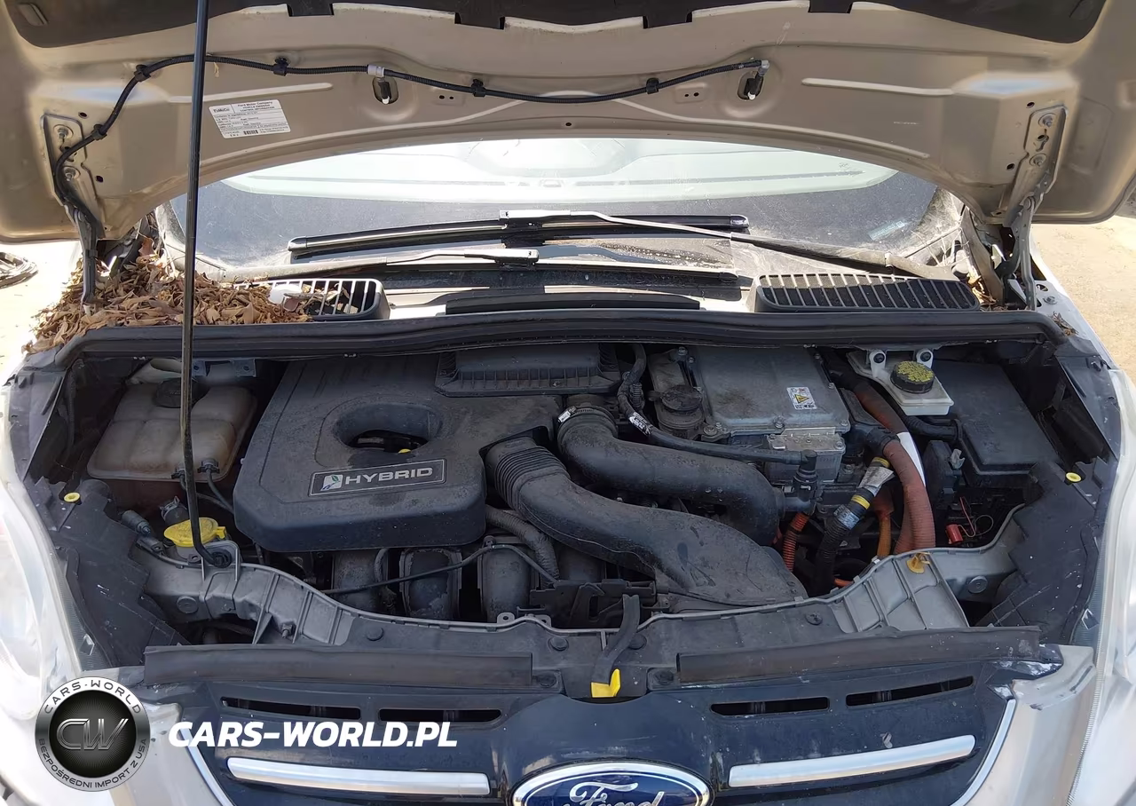 2015 Ford C-Max Hybrid Se VIN:1FADP5AU4FL118223 - 10
