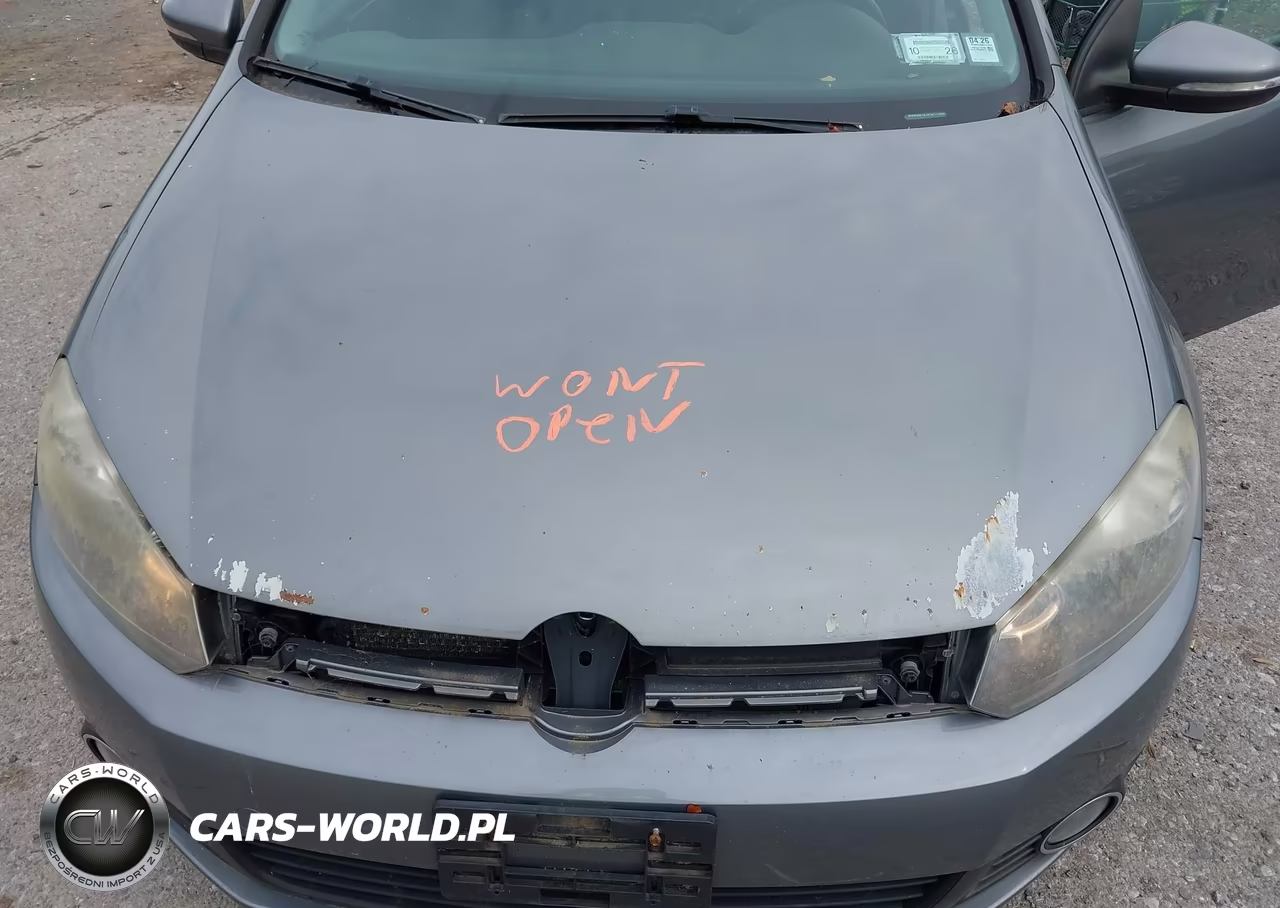 2012 Volkswagen Golf Tdi 4-Door VIN:WVWDM7AJ0CW114684 - 10