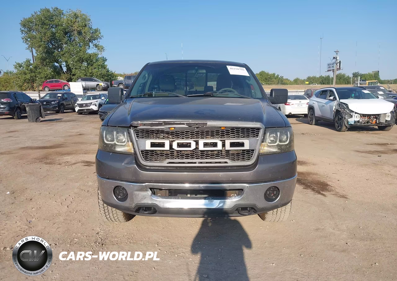 2006 Ford F-150 Fx4-Lariat-Xl-Xlt VIN:1FTPX14566NB19267 - 12