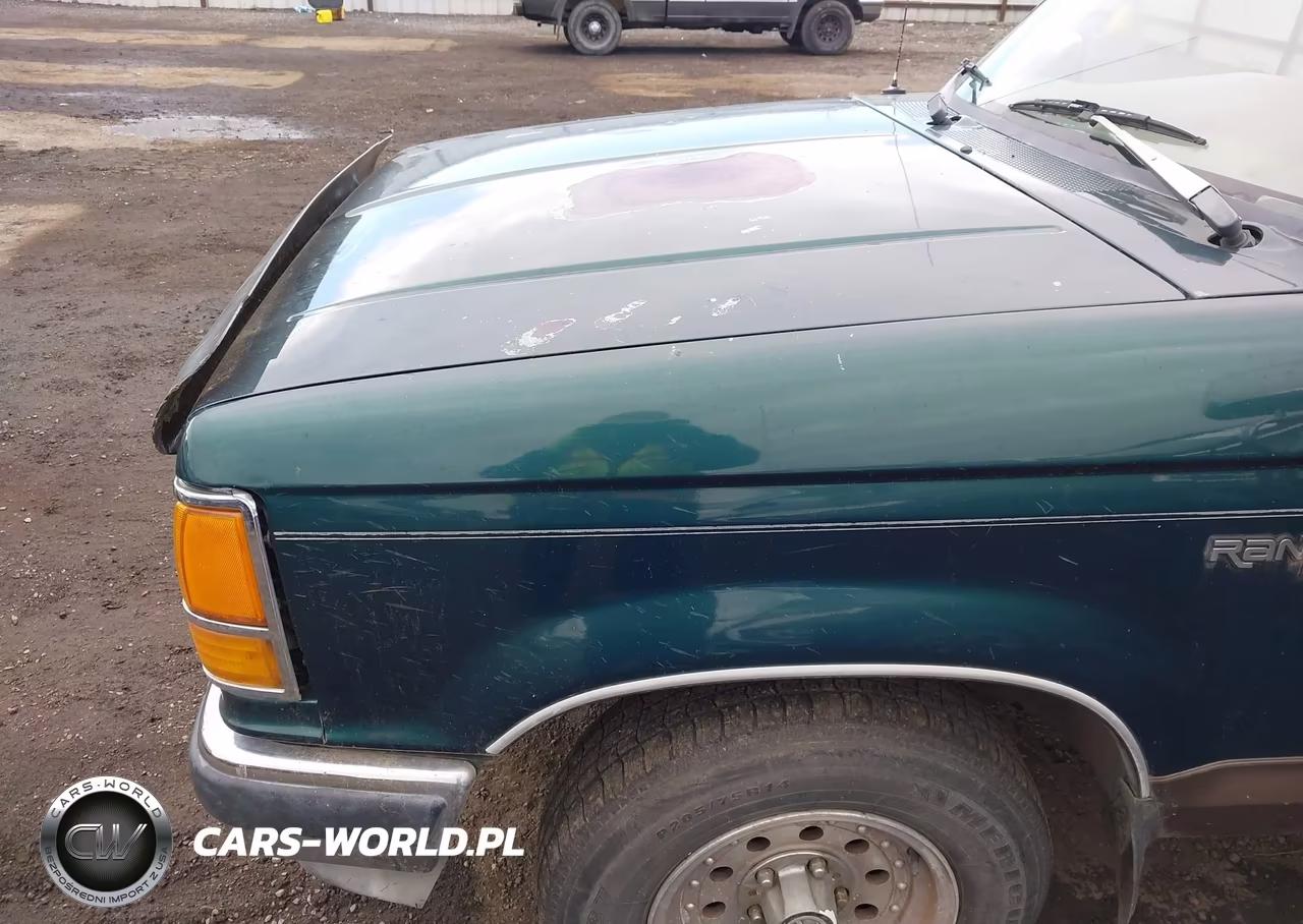 1991 Ford Ranger Super Cab VIN:1FTCR14X8MPA38234 - 6