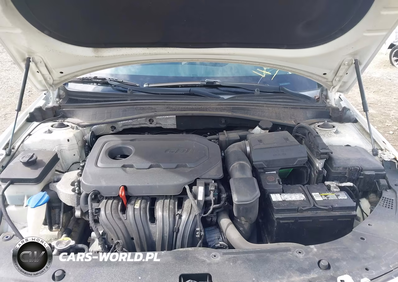 2018 Kia Optima Lx VIN:KNAGT4L35J5198594 - 10