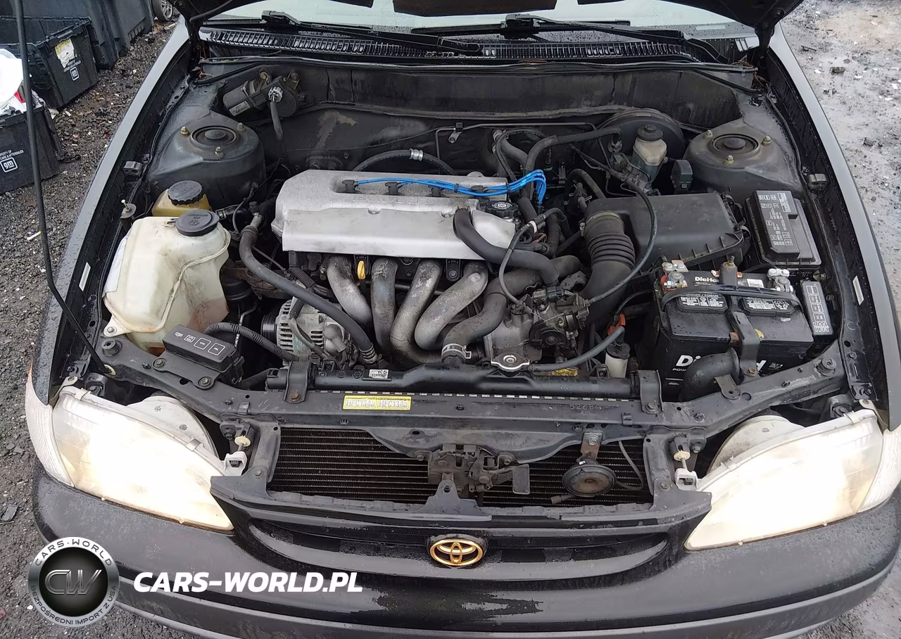 1998 Toyota Corolla Le VIN:1NXBR18EXWZ110507 - 10