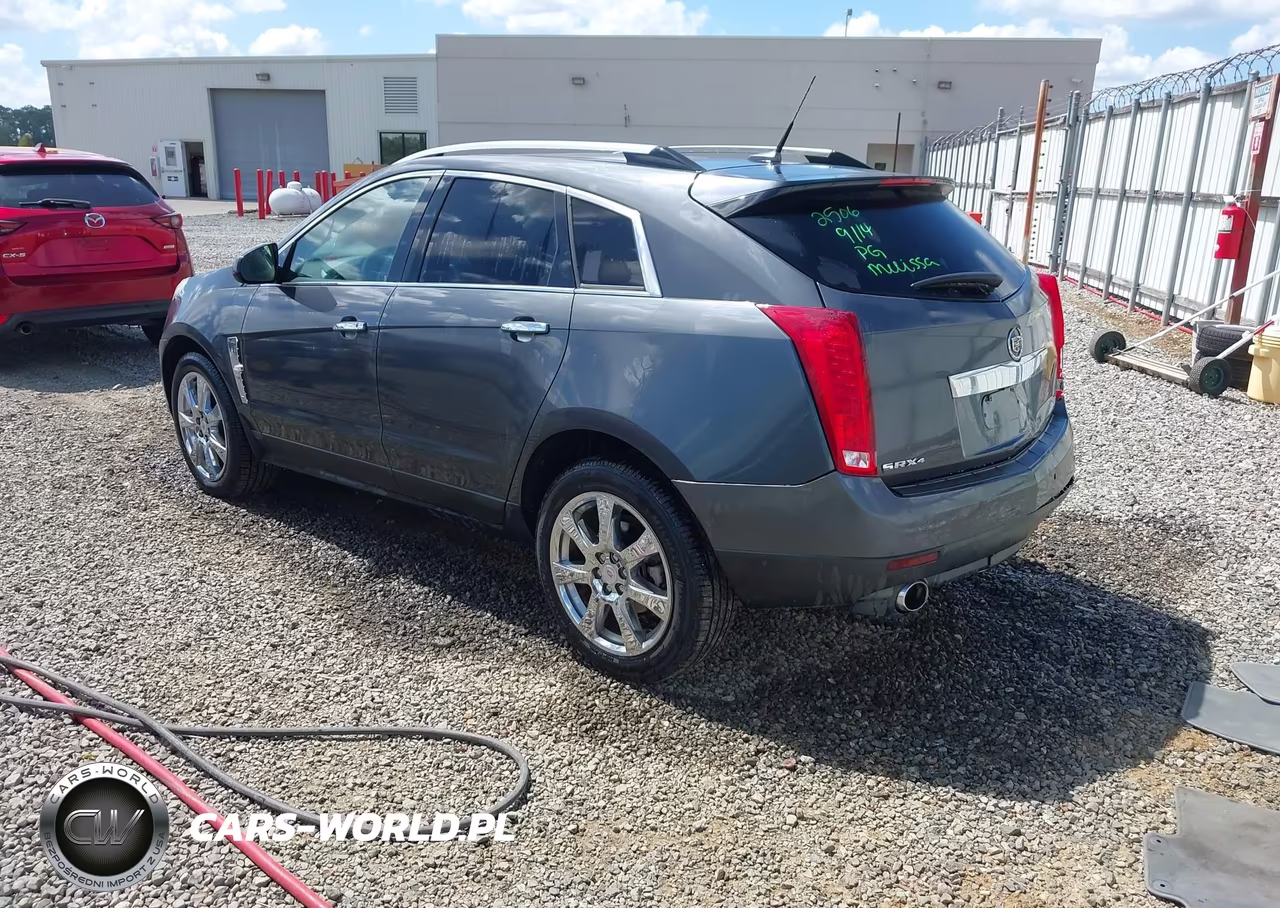2010 Cadillac Srx Performance Collection VIN:3GYFNEEY6AS605586 - 3