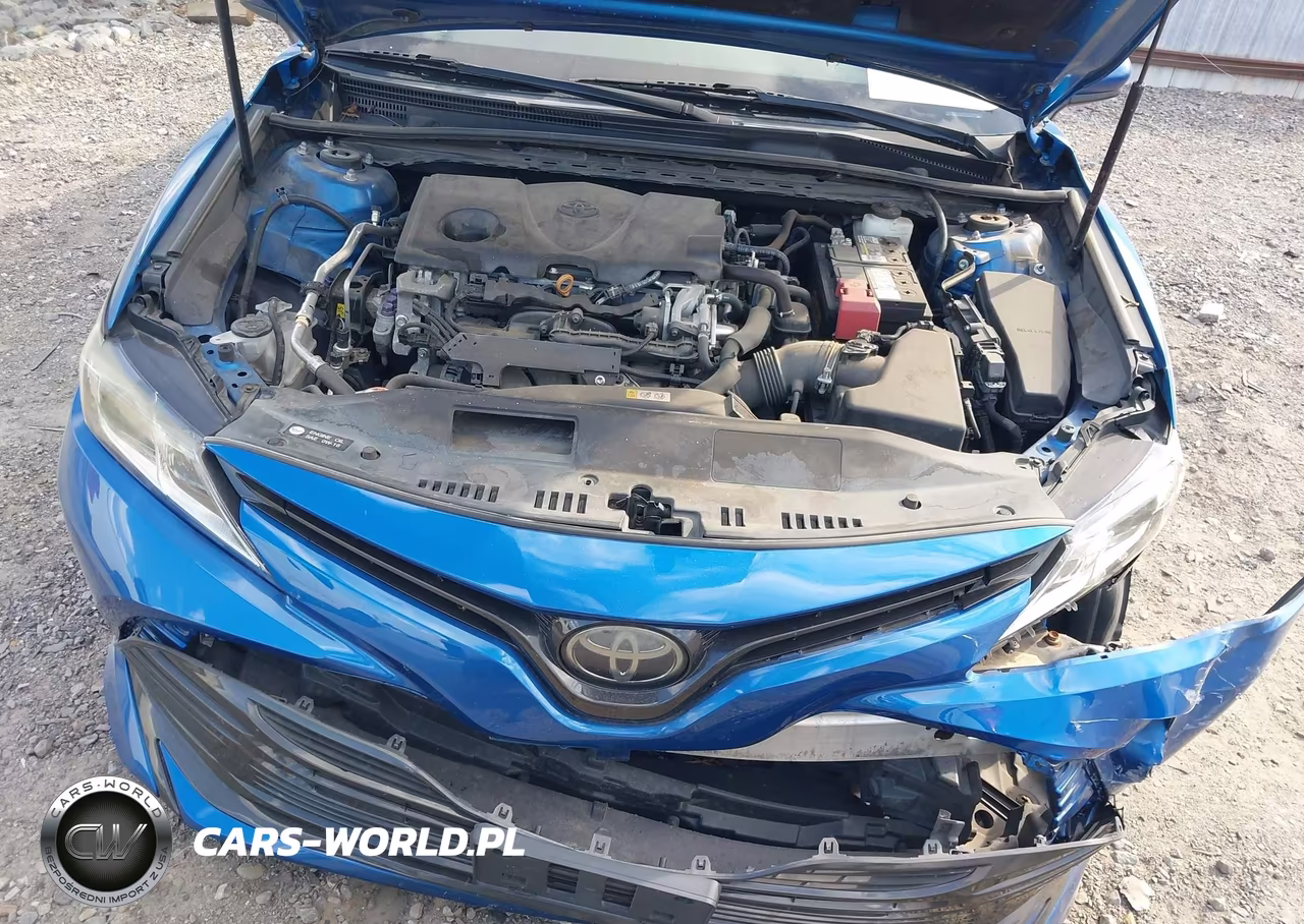 2019 Toyota Camry Le VIN:4T1B11HK0KU160842 - 10